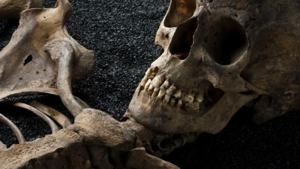 More Human Remains Found Over the Weekend