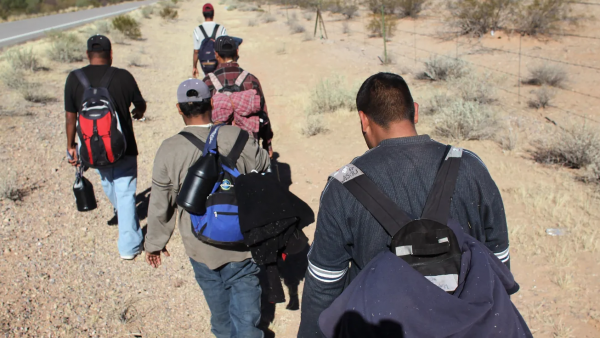 Illegal Immigration & Assault Arrests Top Daily Booking Report