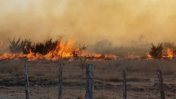Warm & Dry Conditions Elevate Wildfire Danger Across West Texas 