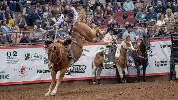 Jacobs Crawley Leads in Saddle Bronc with an 84-Point Ride
