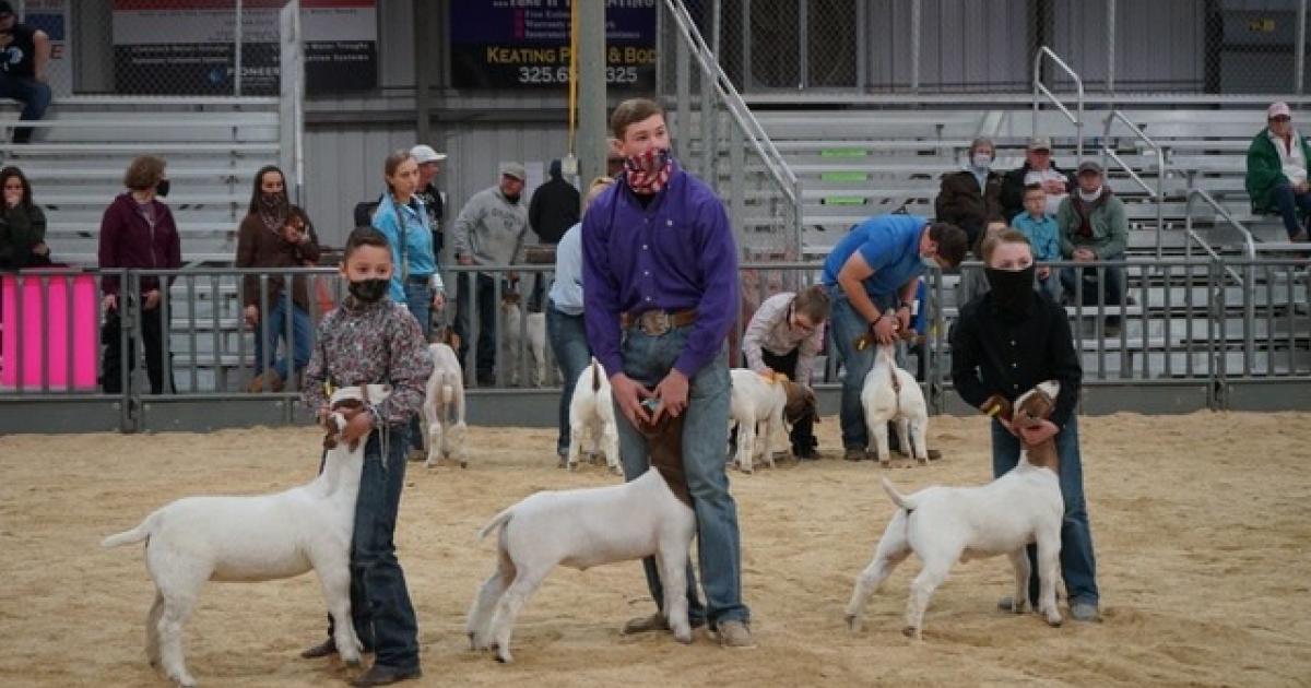 Tom Green County Jr. Livestock Show Results