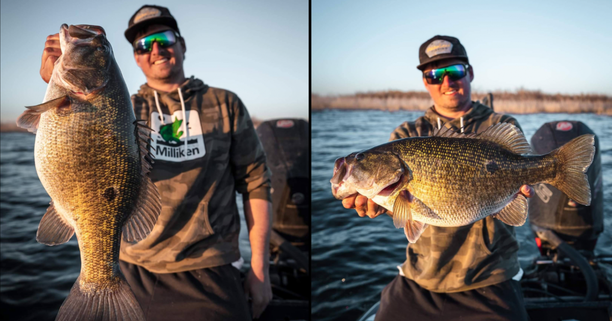 Phenomenal Fishing at O.H. Ivie