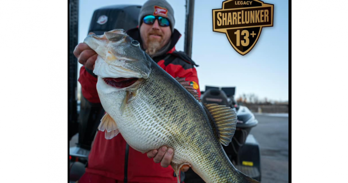 O.H. Ivie Produces More Monster Bass