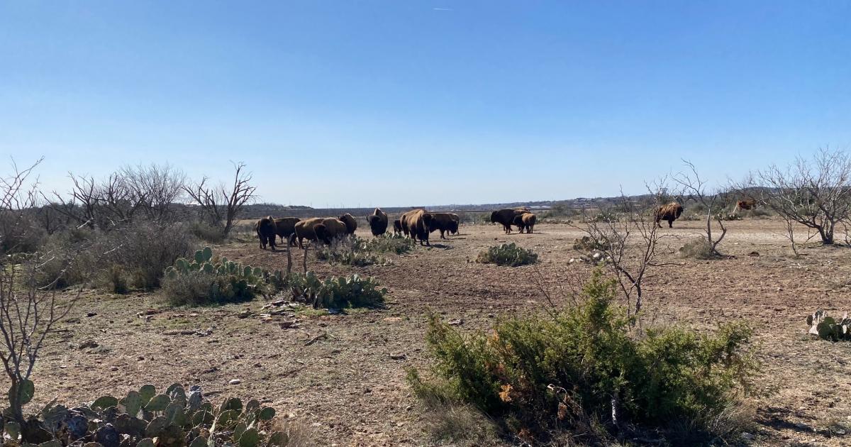Texas Parks & Wildlife Announces $21.6 Million in Grants