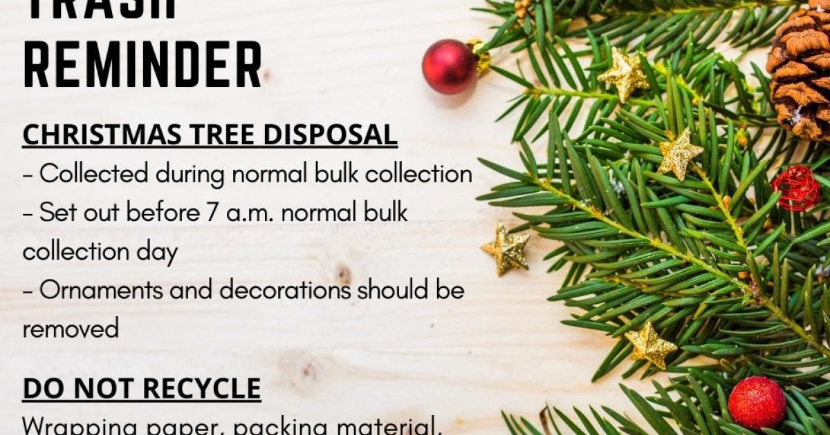 Here's How to Dispose of That Christmas Tree When You're Ready