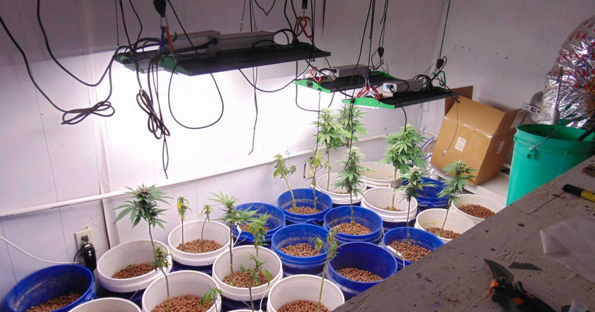 Sterling County Sheriff Confirms Drug Trafficking Arrests