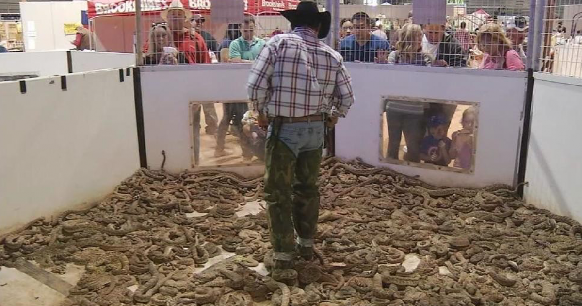 2022 Sweetwater Rattlesnake Roundup Kicks Off Thursday Night