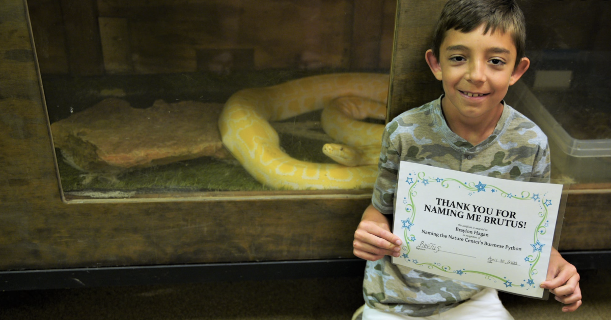 Area Youngster Squeezes Past Competition to Name New Python at the San ...