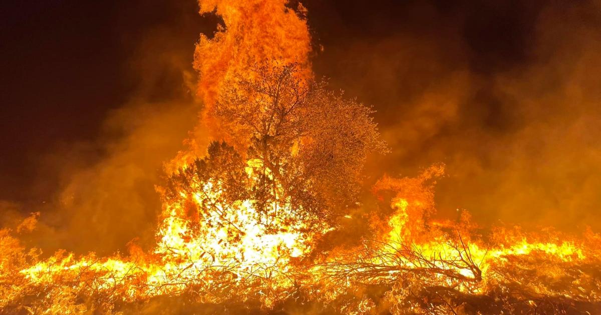 Texas Forest Service: Mesquite Heat Wildfire Near Abilene 82% Contained