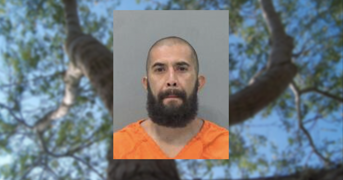 Wanted Suspect Attempts to Evade San Angelo Police by Hiding in a Tree