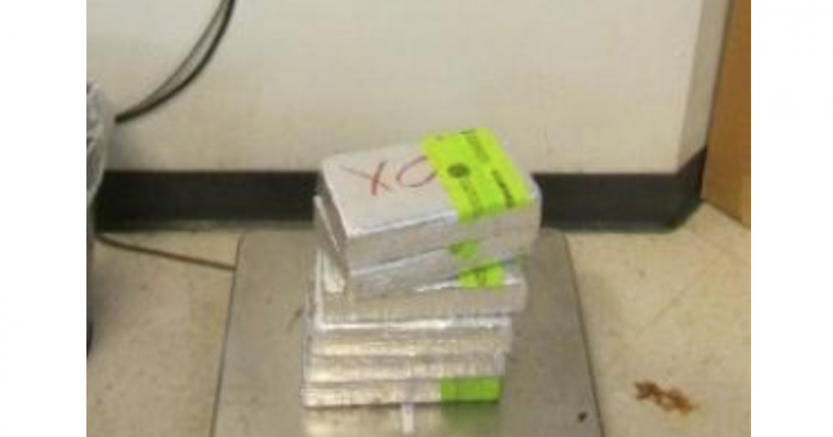 28-year-old Mexican Woman Arrested Smuggling 14 Pounds of Cocaine in ...