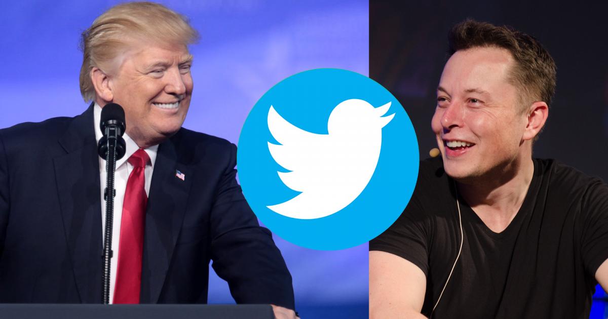 Elon Musk Reinstates President Trumps Twitter Account 
