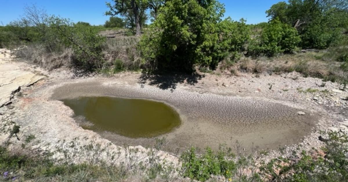 Drought Deepens with Lack of April Showers in the Concho Valley