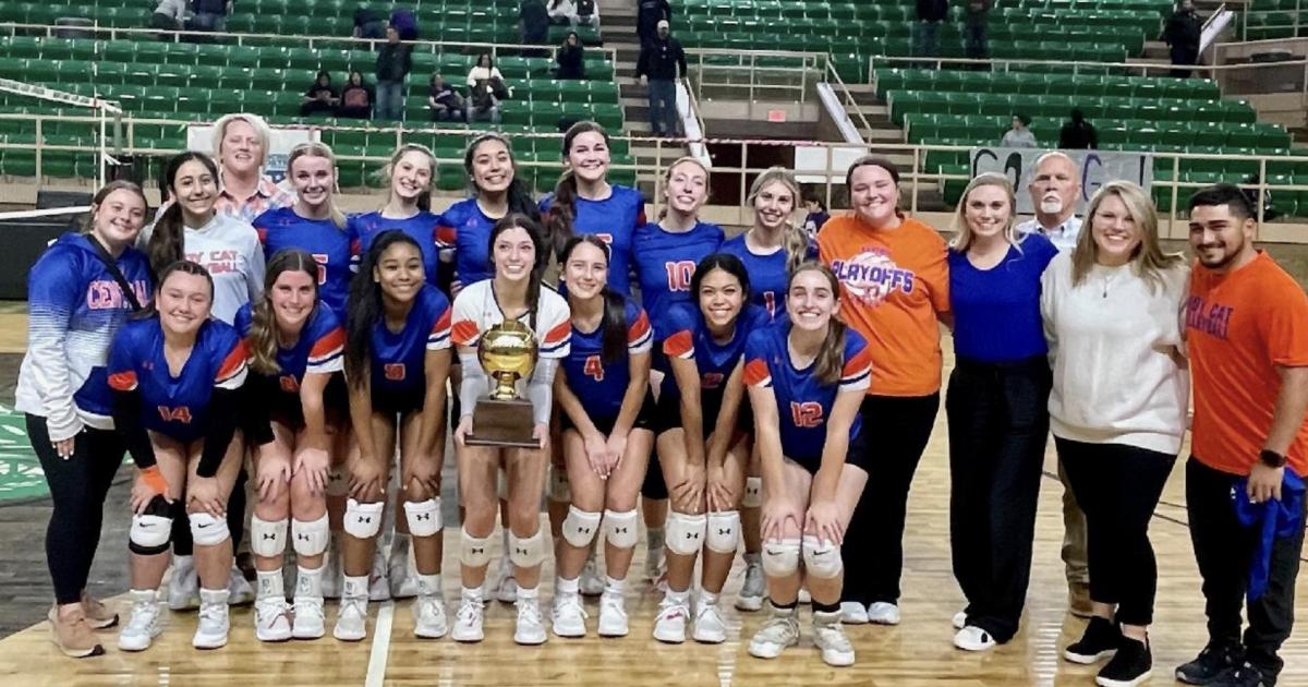 Lady Cats Volleyball Receive Post Season Honors