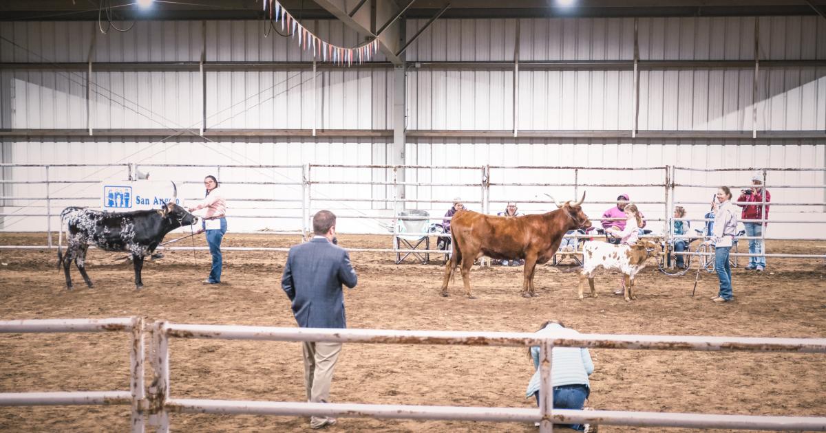 Final Weekend Of The San Angelo Stock Show