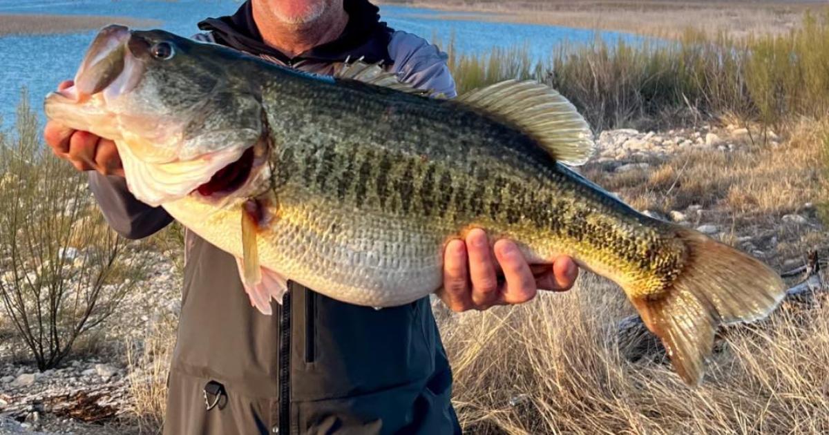 Washington State Angler Lands Legacy Bass at O.H. Ivie