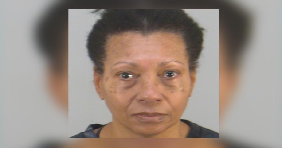 Woman Accused of Drowning Dog in Airport Bathroom After Boarding Denied