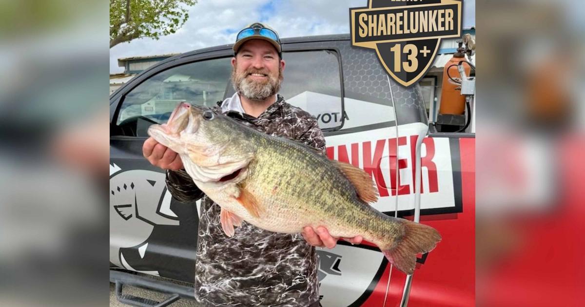 O.H. Ivie Leads State in Legacy Bass as ShareLunker Program Wraps ...