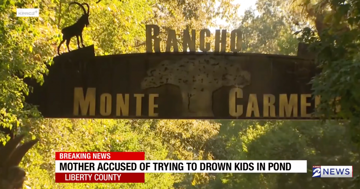 Texas Mother Accused of Trying to Drown Three Children After Possible ...