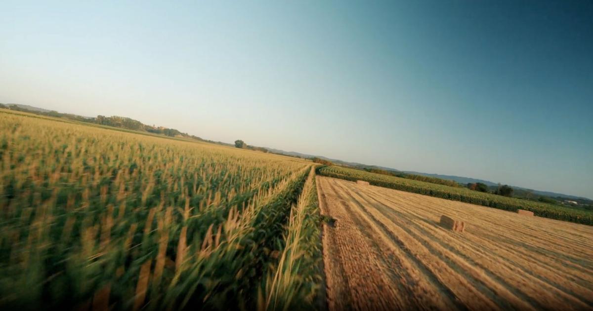 9 Provisions in the 2026 Farm Bill that Benefit San Angelo Ag Producers By Joe Hyde , May 8, 2026