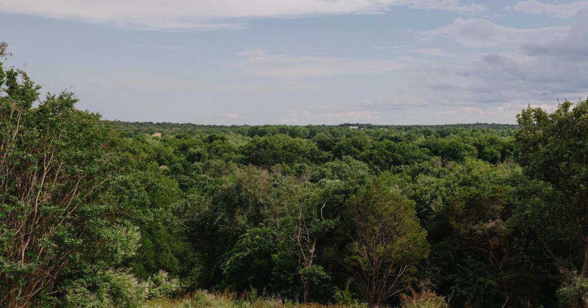 Darby Tells Data Center Developer to Pack Up and Leave Dove Creek