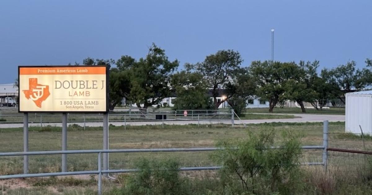 San Angelo's Double J Lamb Plant is Shut Down and Its Lenders are Calling