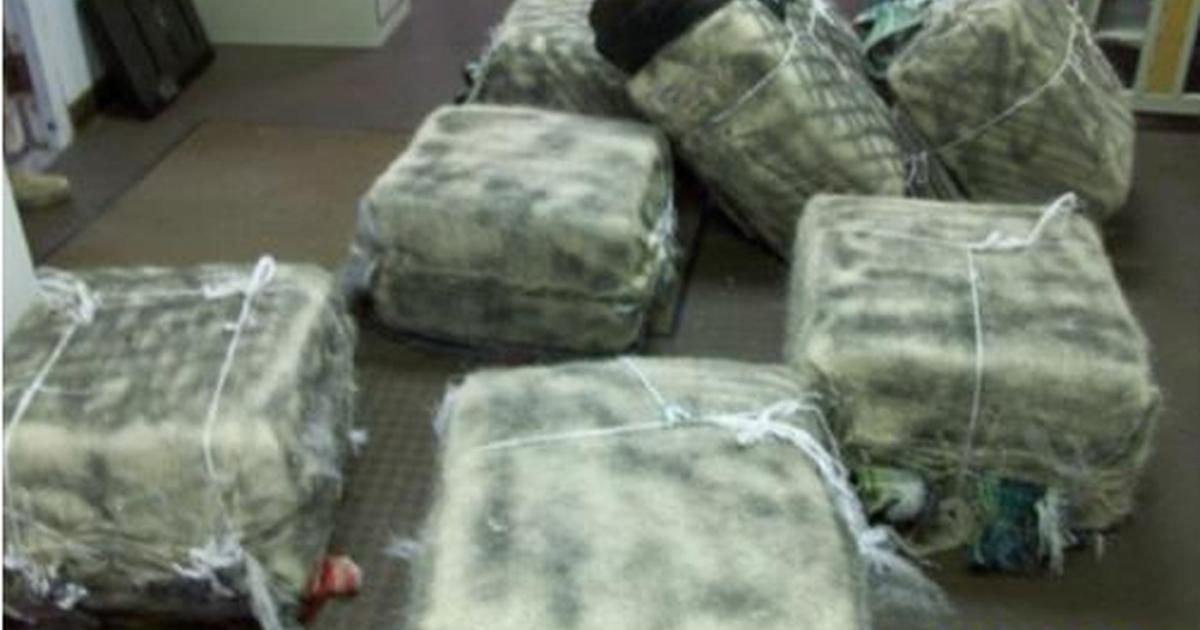 Border Patrol Agents Seize Over 1,000 Pounds of Loco Weed