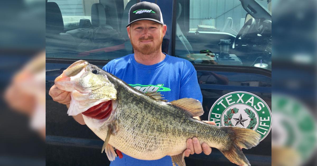 Angler Reels In Massive Large-Mouth Bass From West Texas Reservoir