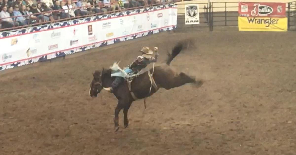 Canadian Horses Bring NFRLevel Bareback Rides to the San Angelo Rodeo