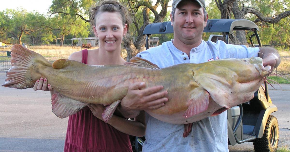 Discover Catfish Pay Lakes Near Me for Unforgettable Fishing Experiences