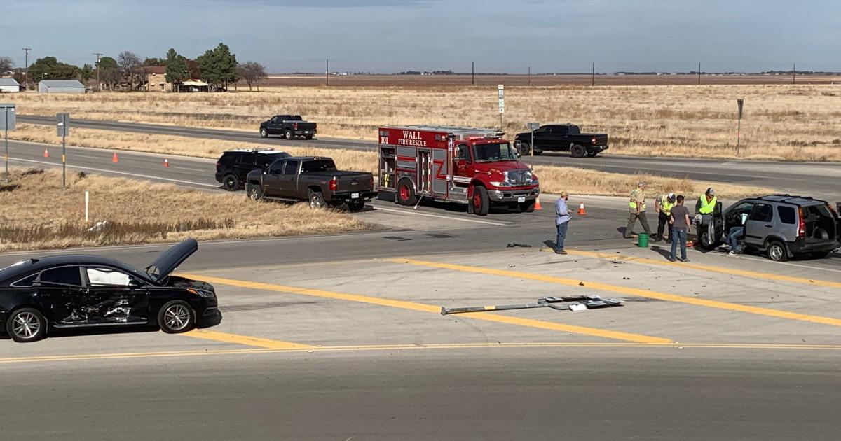 WATCH: Dogs Escape Injury in Loop 306 Crash