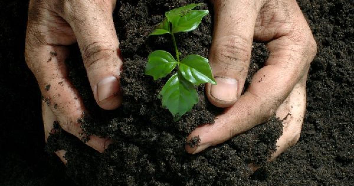 Petroleum Products Fertilizers