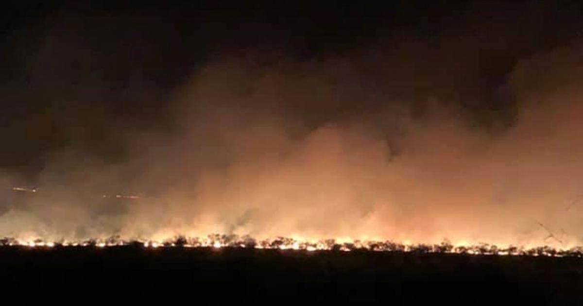 Wind Driven Wildfires Scorching Crockett County