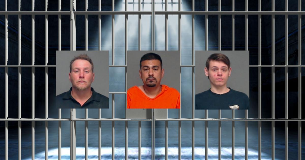 Man Arrested for Cruelty to Non-Livestock Animal Tops Booking Report