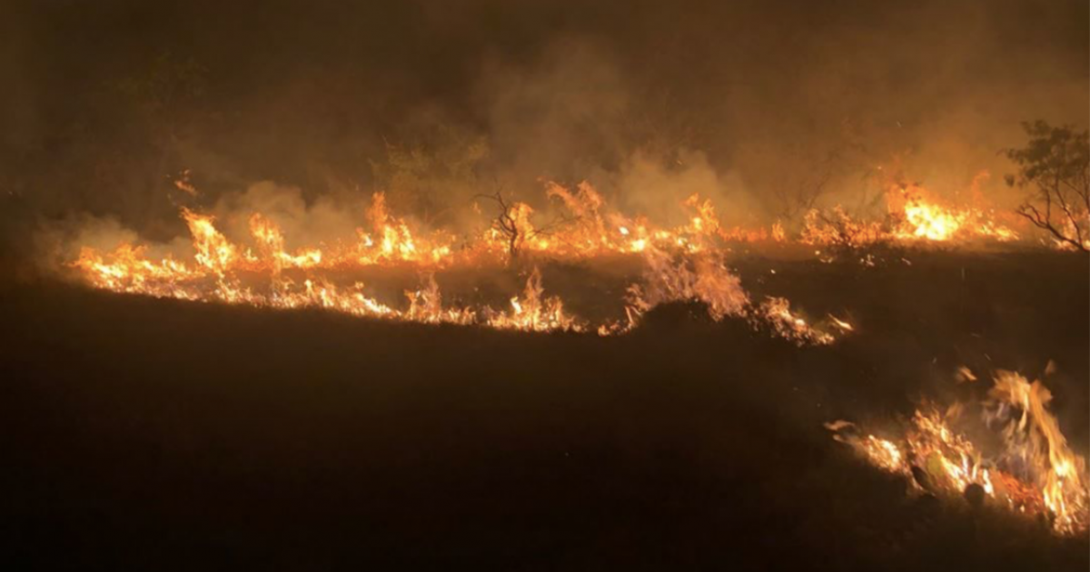 Texas A&M Forest Service Battles Massive July 4th Wildfire