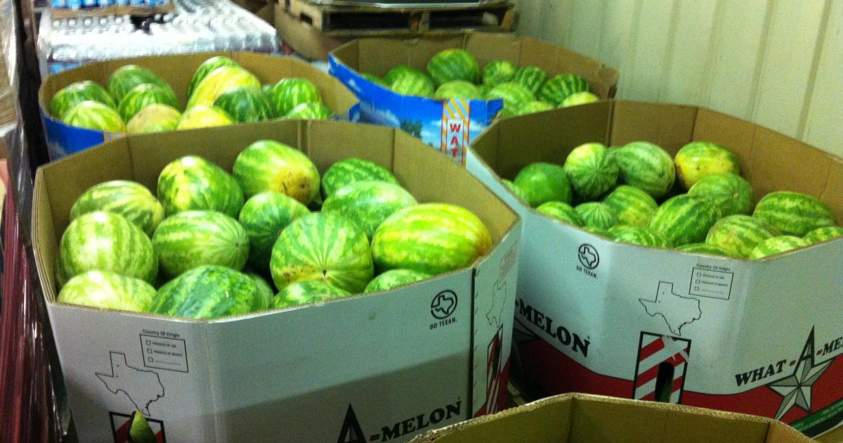 Melon Fest a Savory Treat for Concho Valley Residents