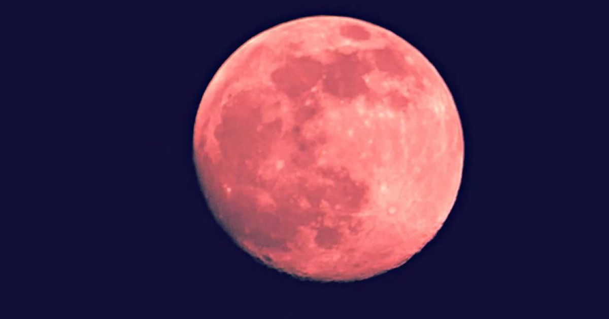 See the Strawberry Full Moon Tonight