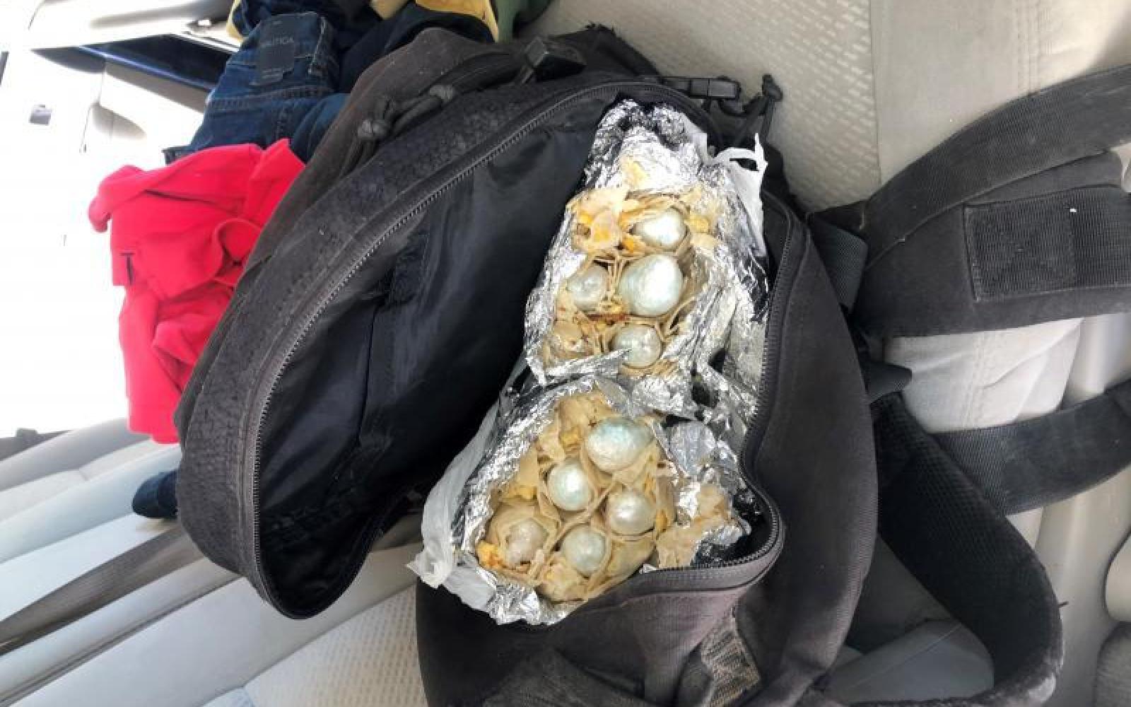 Fentanyl Burrito (Contributed/CBP)