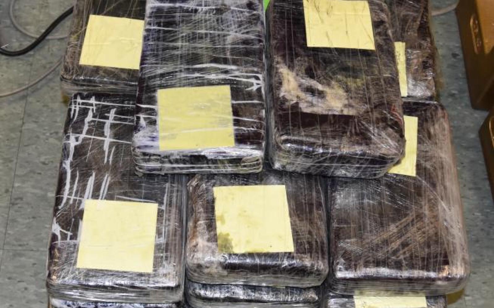 Border Agents Seize 49 Pounds of Cocaine (Contributed/CBP)