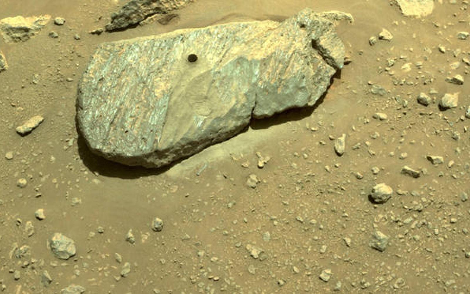 NASA Perseverance Rover Drills Core in Rock (Contributed/NASA)