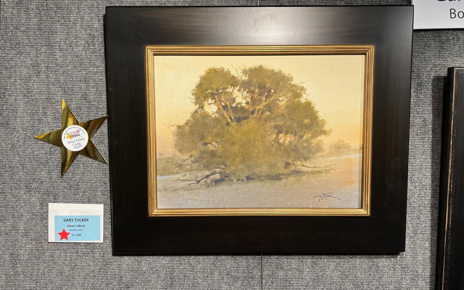 Texas Artists Camp Award – Gary Tucker