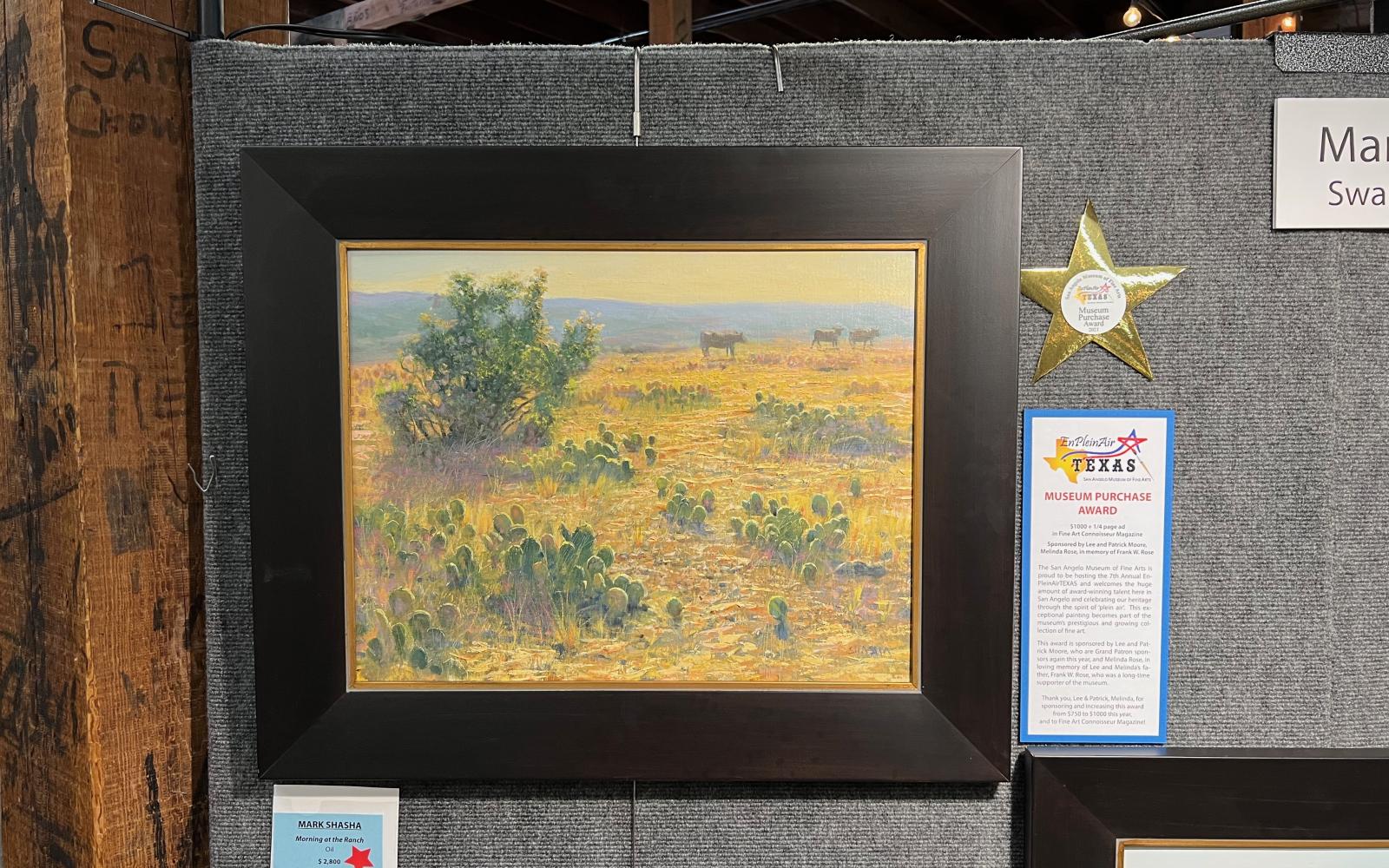 Museum Purchase Award – Mark Shasha