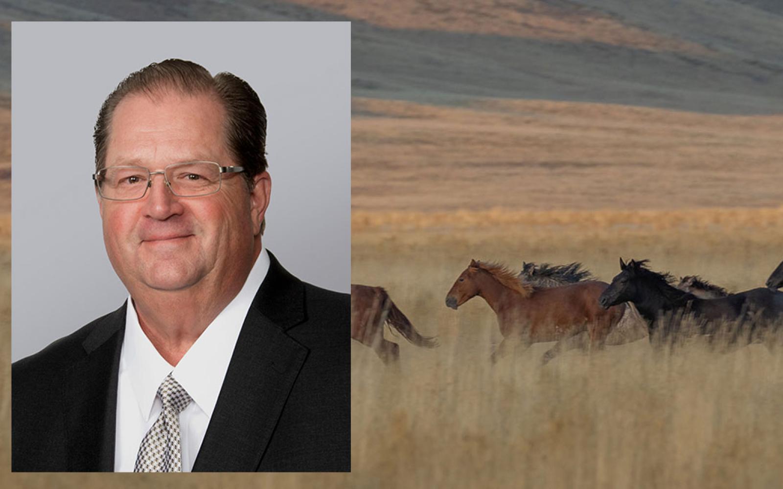 Mark Odle is named Senior Vice President and Branch Manager for the Sonora Bank Sherwood Way branch in San Angelo.