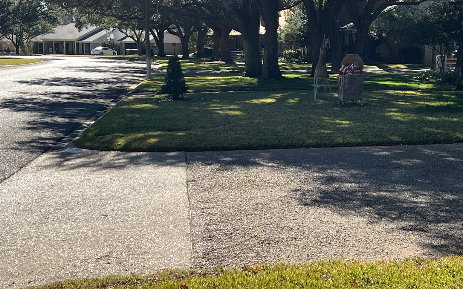 A well-established street in College Hills. There were never sidewalks mandated here.