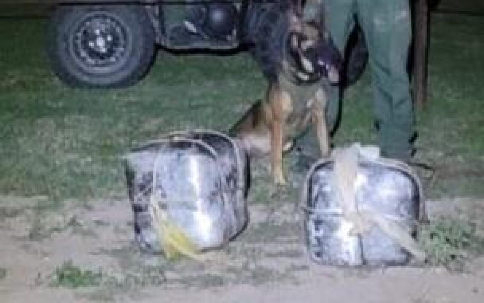 Tractor Driver Finds Reefer Bundles (Contributed/CBP)