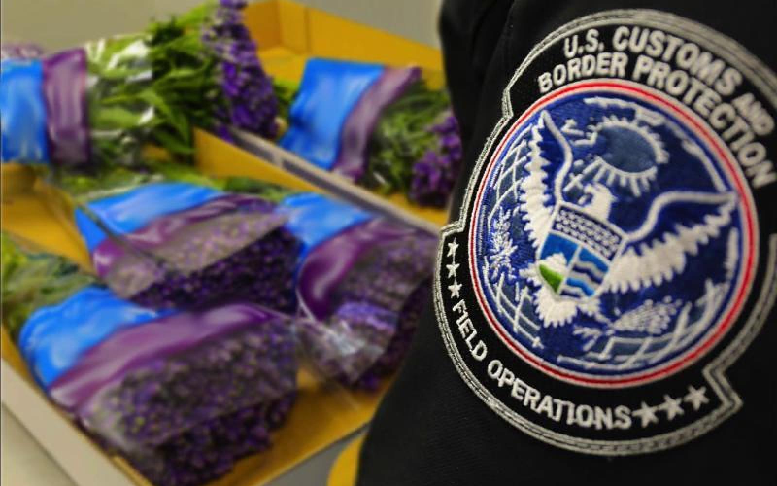 Border Agents Inspecting Valentines Day Flowers (Contributed/CBP)