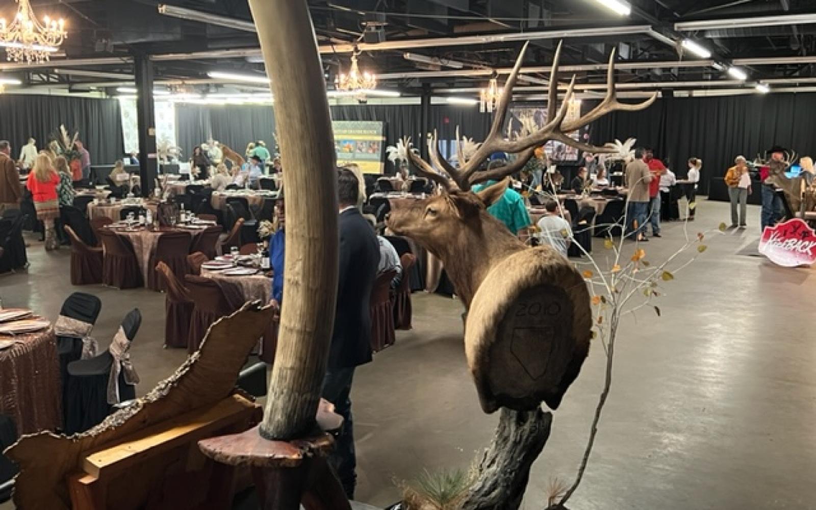 San Angelo SCI 2022 Banquet Elk (LIVE! Photo/Yantis Green)