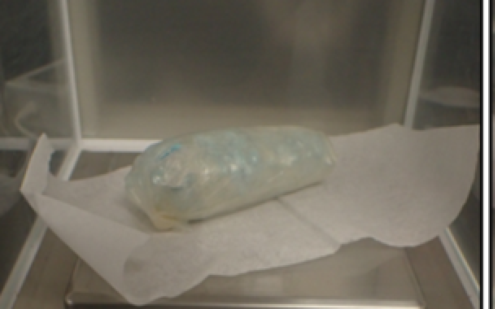 fentanyl Recovered from Body Cavity (Contributed/CBP)