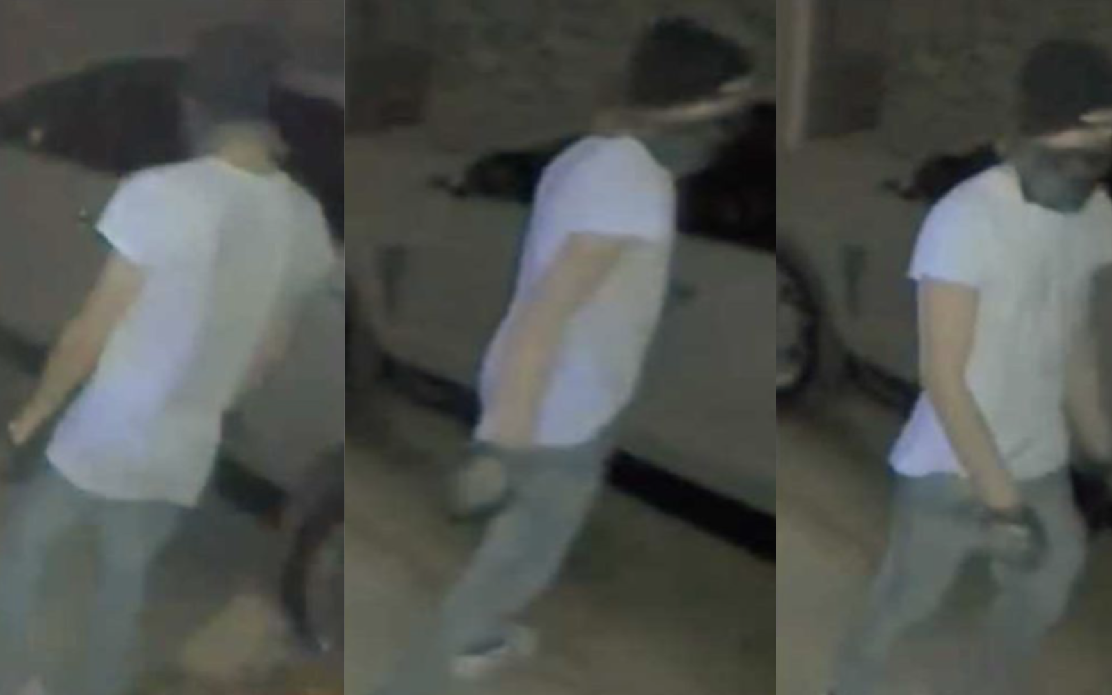 Car Burglary Suspect