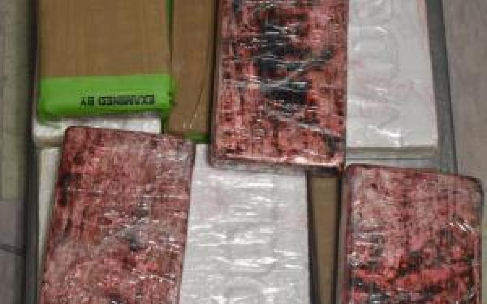 28 Pounds of Cocaine Seized in Brownsville (Contributed/CBP)